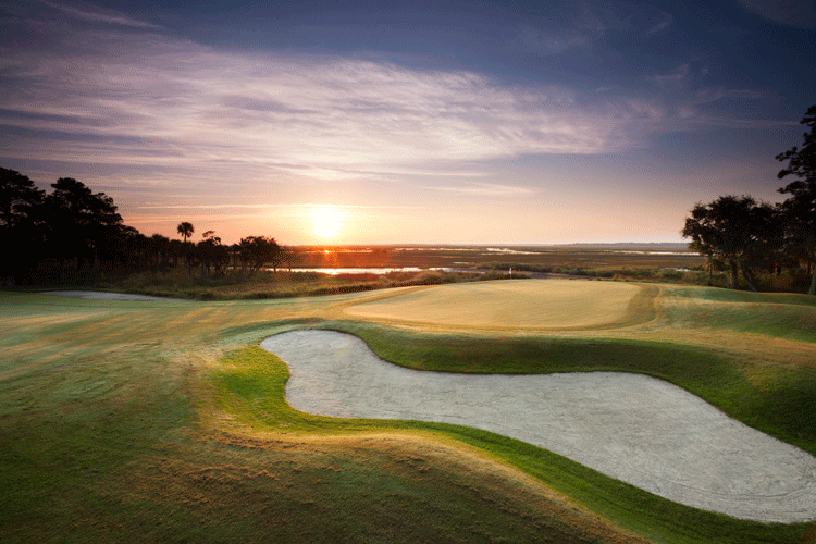 Palmetto Course